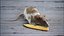 3D model Decorative Rat Rigged Xgen