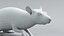 3D model Decorative Rat Rigged Xgen