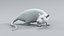 3D model Decorative Rat Rigged Xgen