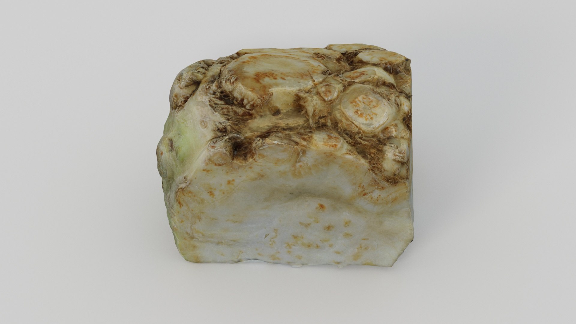 3D celery root model https://p.turbosquid.com/ts-thumb/8C/rpDhlf/EA/productshot_02/jpg/1617279727/1920x1080/fit_q87/ec186171826a2f93862fb76667ddb6f930056193/productshot_02.jpg