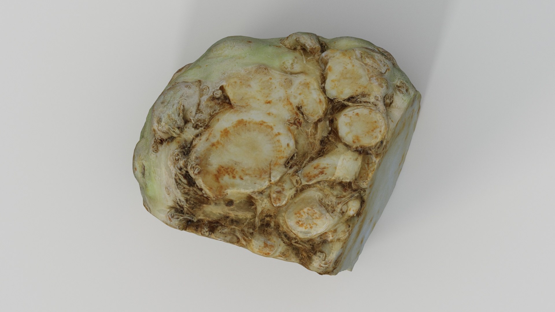 3D celery root model https://p.turbosquid.com/ts-thumb/8C/rpDhlf/lZ/productshot_08/jpg/1617279728/1920x1080/fit_q87/9419357b344d4994e433413f17bbd2475ba225ad/productshot_08.jpg