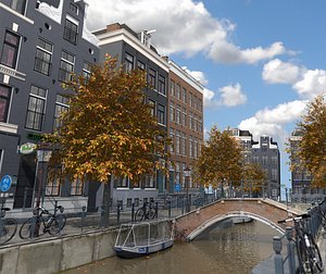 Realistic Amsterdam Street