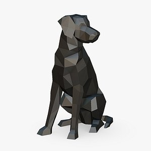 border collie labrador mix 3D model