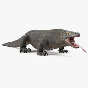 komodo dragon neutral pose 3D model