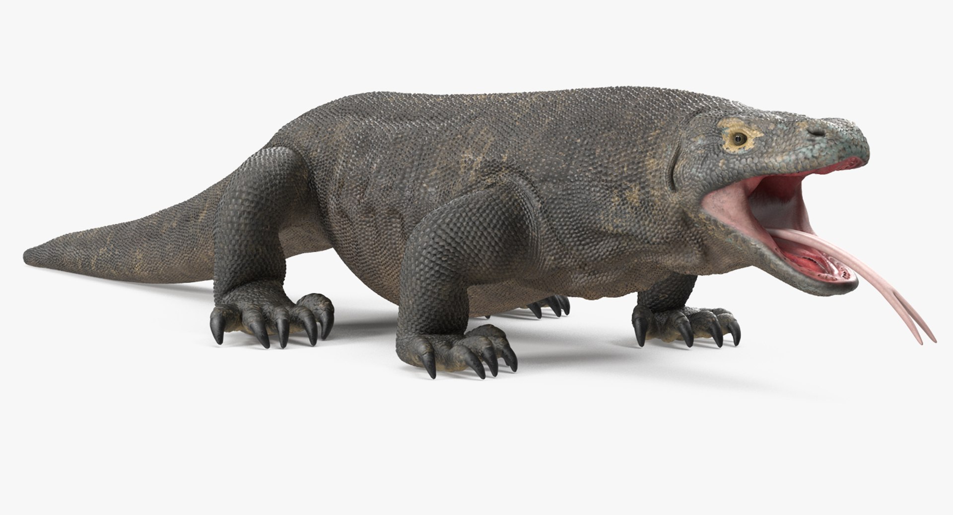 Komodo Dragon Neutral Pose 3D Model 3D model preview