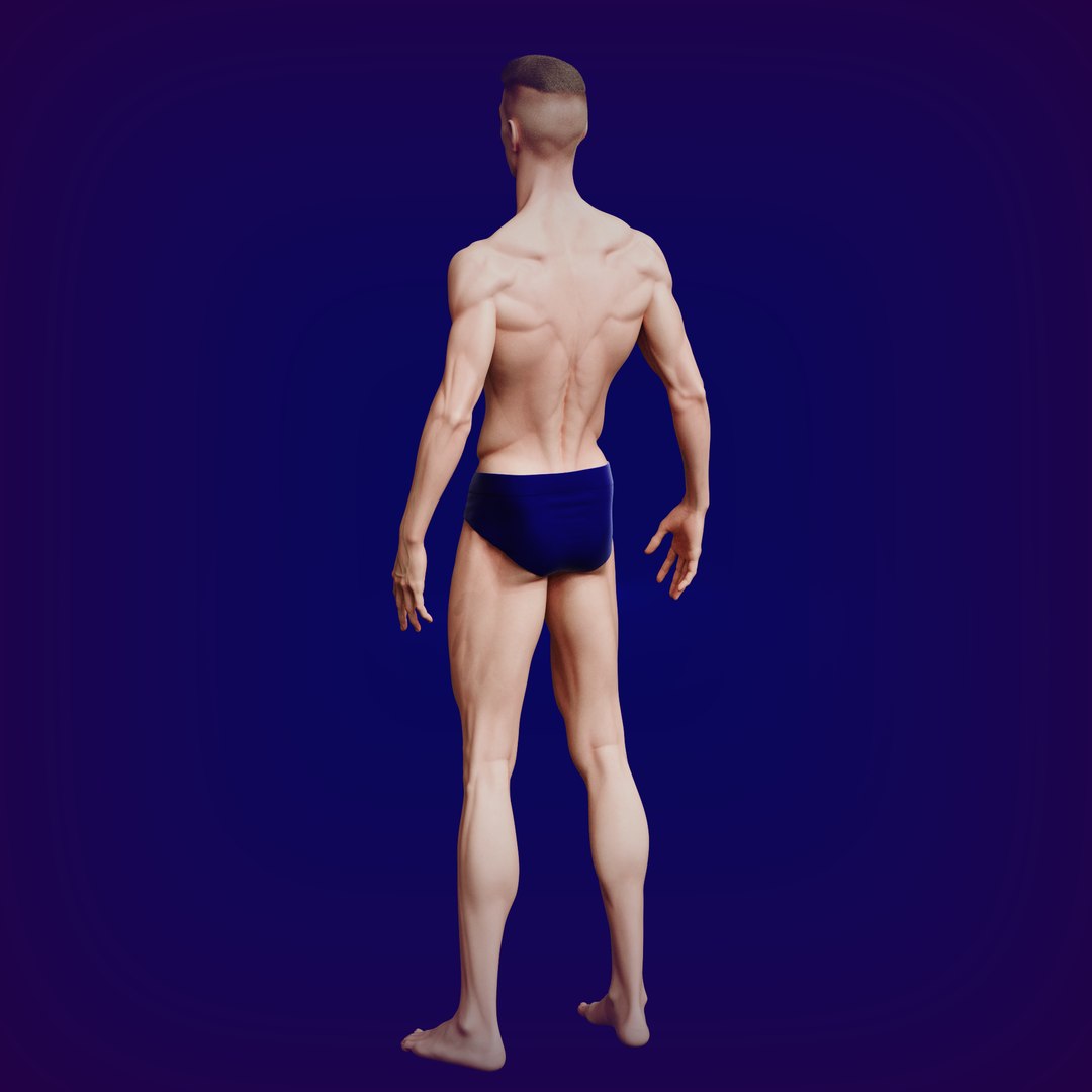 3D Normal man model https://p.turbosquid.com/ts-thumb/8D/3MBT6H/CE/normalman06/png/1733665718/1920x1080/fit_q87/e358b3423d45ae8db20b43185bacd805f2f11acf/normalman06.jpg
