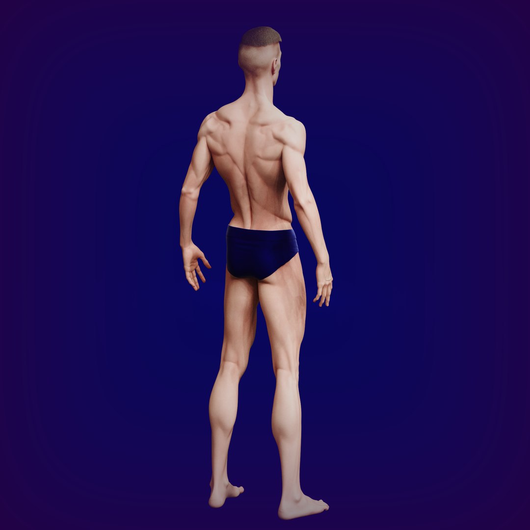 3D Normal man model https://p.turbosquid.com/ts-thumb/8D/3MBT6H/KM/normalman08/png/1733665719/1920x1080/fit_q87/cf4da17953b11e93f89a1ec2b26ac86f54a27c13/normalman08.jpg