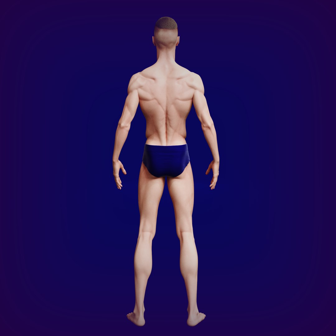 3D Normal man model https://p.turbosquid.com/ts-thumb/8D/3MBT6H/OI/normalman07/png/1733665719/1920x1080/fit_q87/f937f39a1c8696cc6aaf8fb9435a266eaeebe7c3/normalman07.jpg
