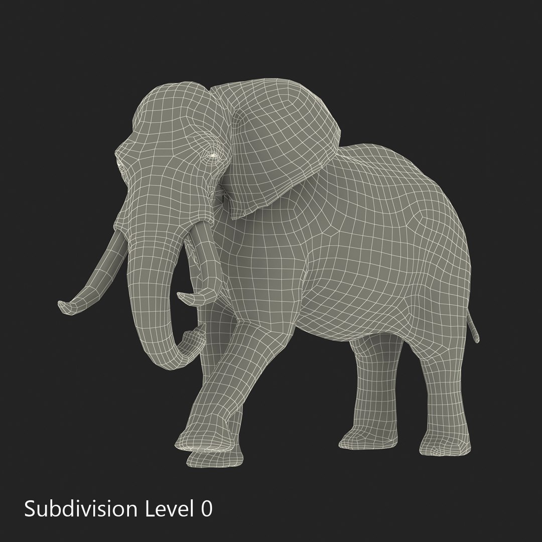 3d elephant rigged model