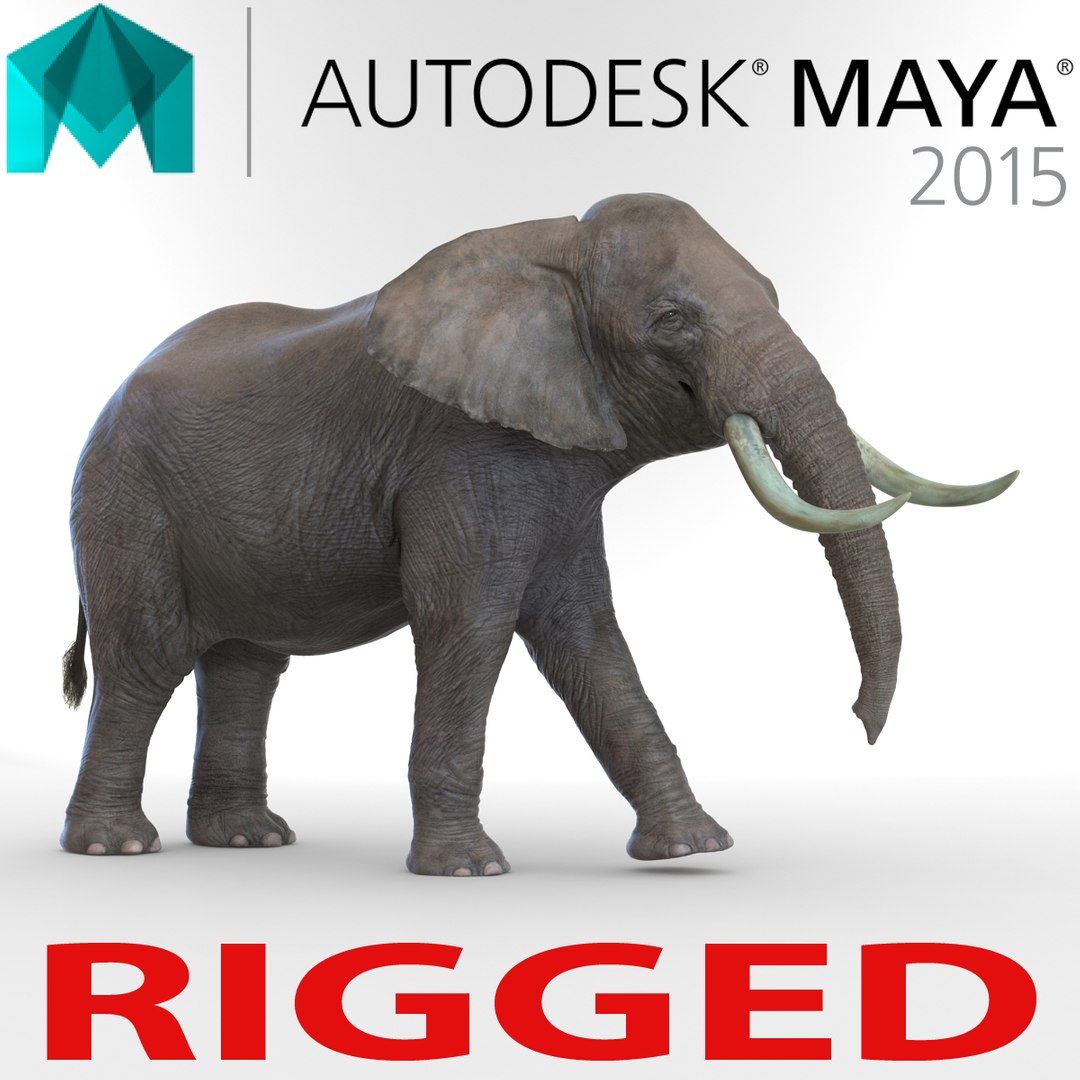 Elephant Rigged for Maya 3D Model 3D model preview