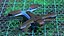 Drone Skydio 2 Plus no estado