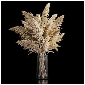 3D Bouquet Dried Flowers From Pampas Grass In A Vase model