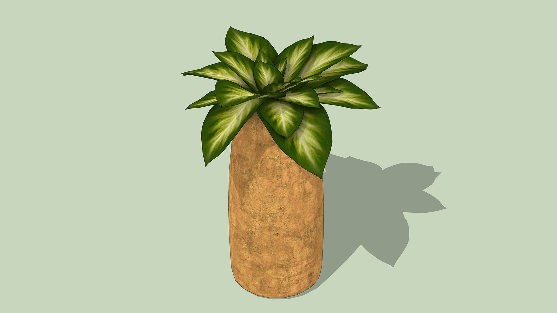 Golden Pothos 3D model https://p.turbosquid.com/ts-thumb/8D/dzxG6b/2K/1/jpg/1764156767/1920x1080/fit_q87/cffce74acb3920ef17dfecaf1ebfafed39fe2730/1.jpg