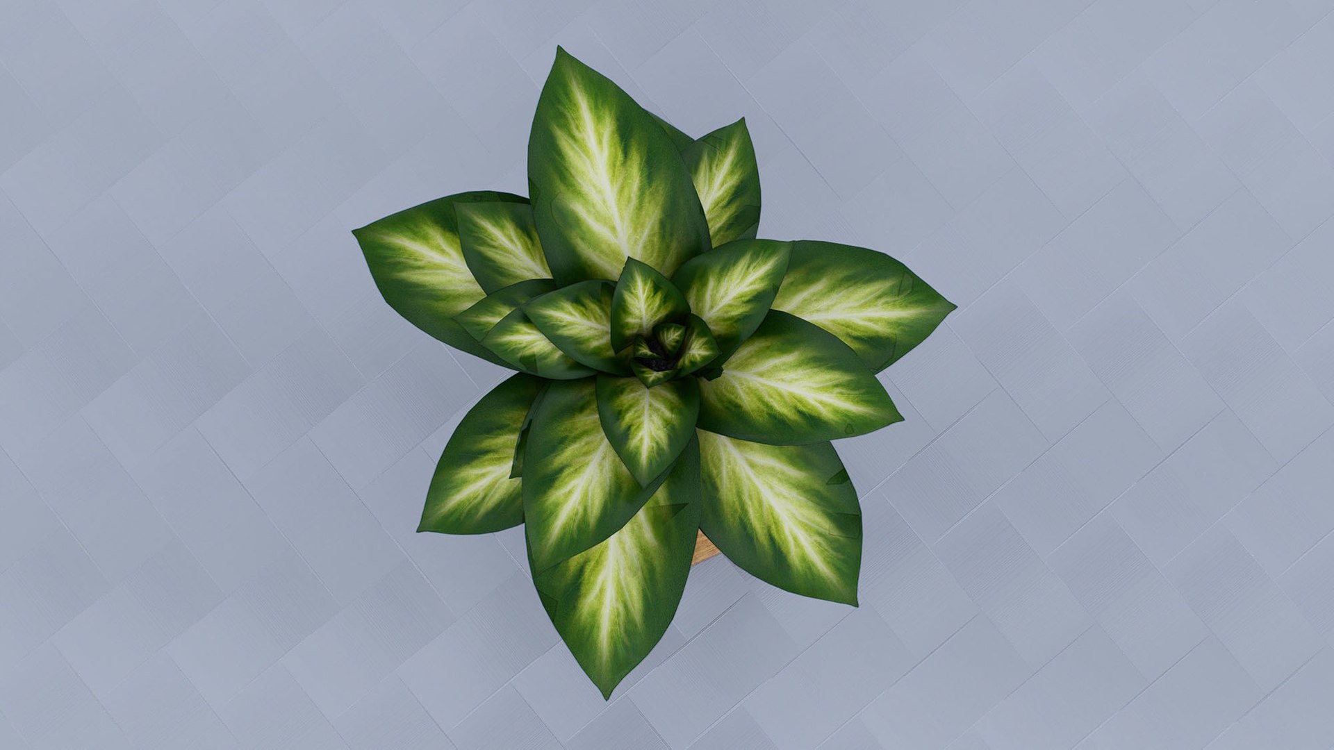 Golden Pothos 3D model https://p.turbosquid.com/ts-thumb/8D/dzxG6b/Jr/6/jpg/1764156775/1920x1080/fit_q87/2b22caf9c5938304f241af33edbb7fff31753ff8/6.jpg