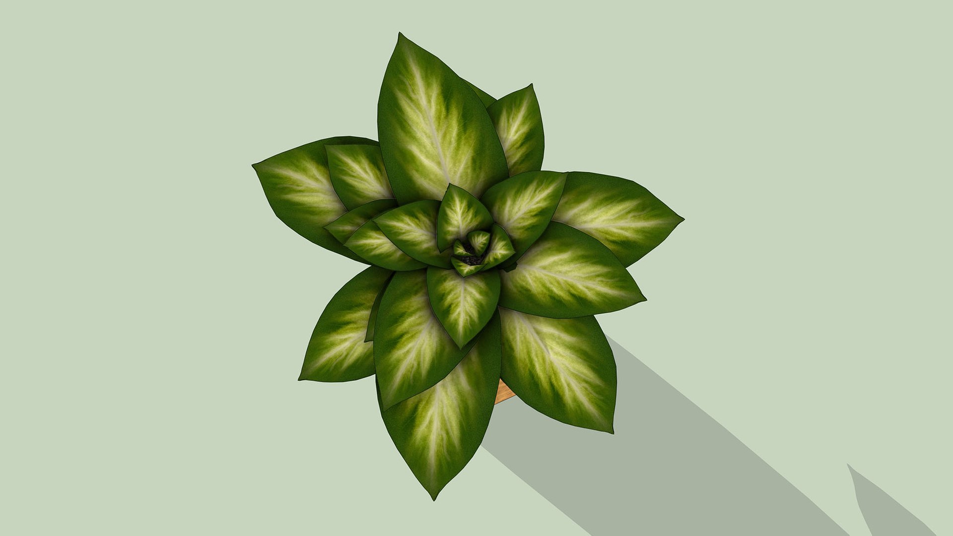 Golden Pothos 3D model https://p.turbosquid.com/ts-thumb/8D/dzxG6b/Pp/2/jpg/1764156768/1920x1080/fit_q87/f1cf57858c36514f613580914b70d658a4a7f2c6/2.jpg
