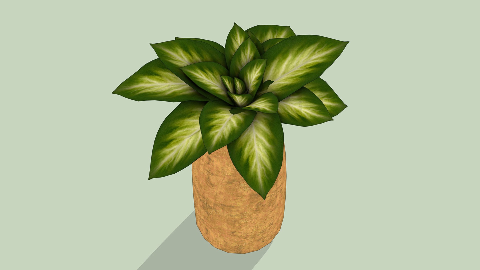 Golden Pothos 3D model https://p.turbosquid.com/ts-thumb/8D/dzxG6b/ap/3/jpg/1764156770/1920x1080/fit_q87/a092fd6994b3ab5ea71b8ee9bd89cfd82822819b/3.jpg