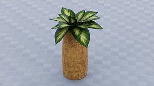 Golden Pothos 3D model