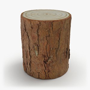 Wood Log 04 - 3D Scanned
