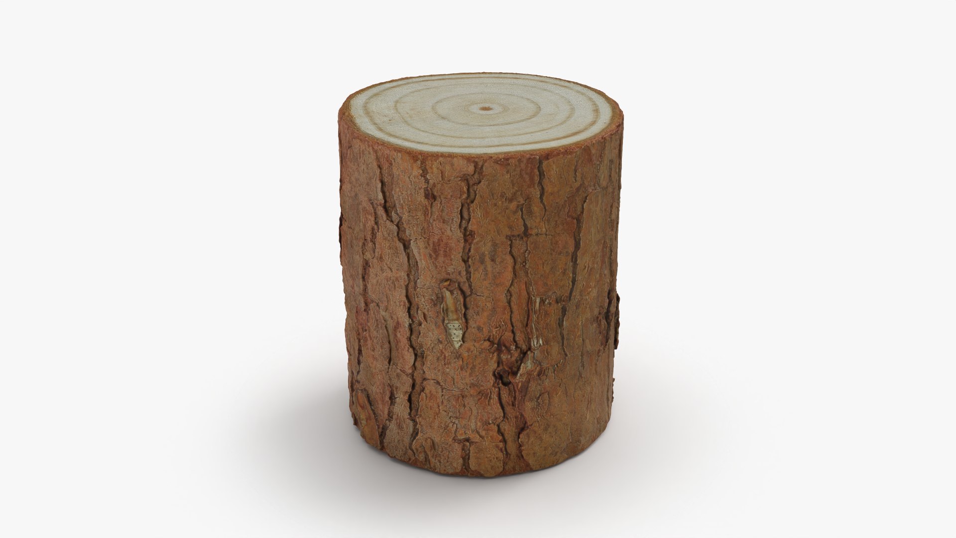 Wood Log - 3D Scanned Collection 3D model https://p.turbosquid.com/ts-thumb/8D/gb3P7x/cz/woodlog04_0001/png/1788046900/1920x1080/fit_q87/d2f32301b2d558e03d8ac17c7eef2ef4e6974a15/woodlog04_0001.jpg