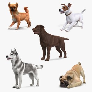 Dogs Rigged Collection 4