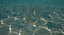 Sea Floor 02
