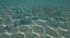 Sea Floor 02
