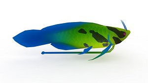 Salmon trout 3D model