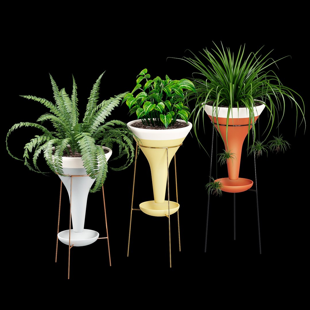 colorblock pot holistic 3D https://p.turbosquid.com/ts-thumb/8D/qCcQpr/6J/dtree_3/jpg/1614331747/1920x1080/fit_q87/57ca5f5a5129dc305e96f2e9807e58e944d1ba4b/dtree_3.jpg