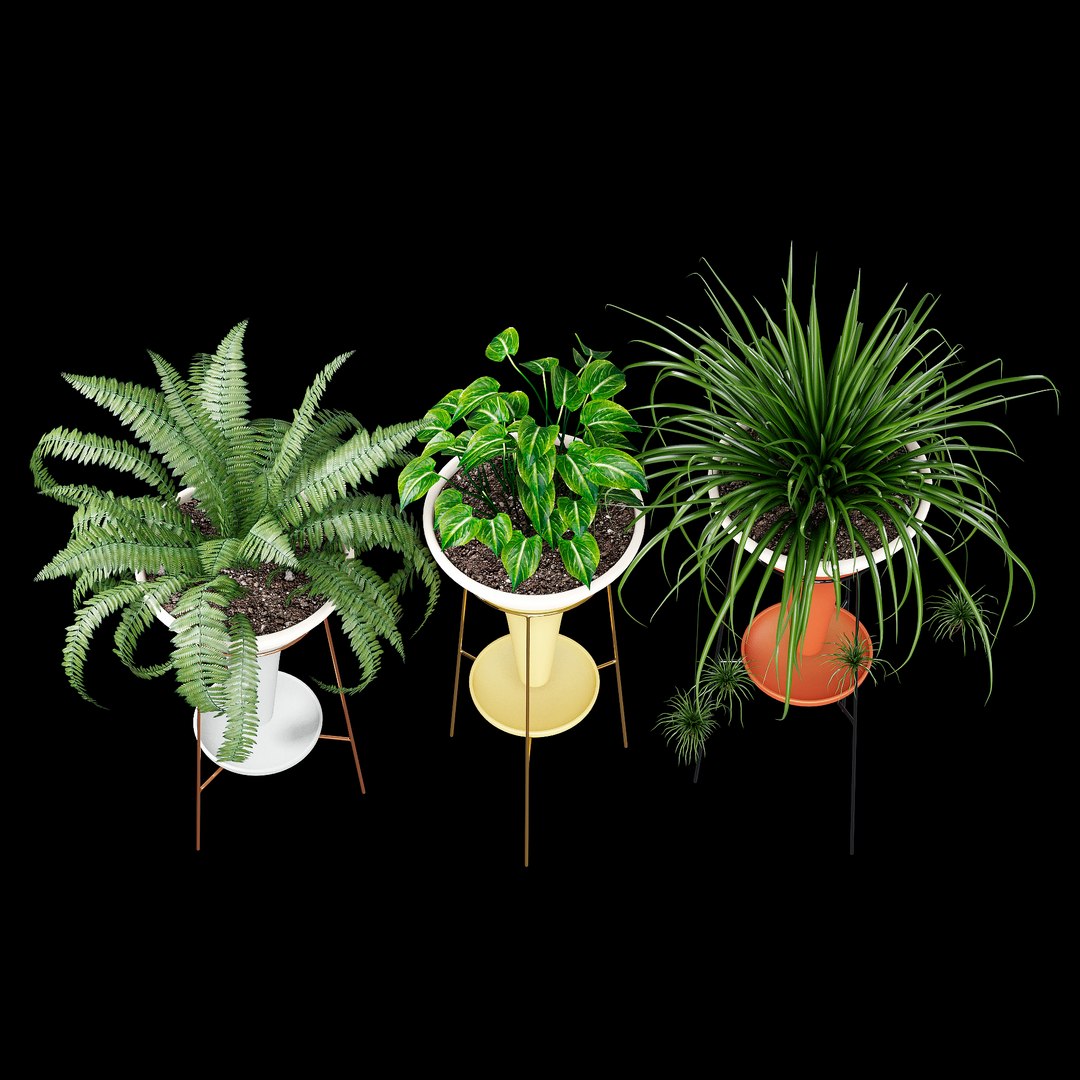 colorblock pot holistic 3D https://p.turbosquid.com/ts-thumb/8D/qCcQpr/Fy/dtree_2/jpg/1614331748/1920x1080/fit_q87/2546540ccb02c7c5b1eb6326da4b3b2f36ab5a92/dtree_2.jpg
