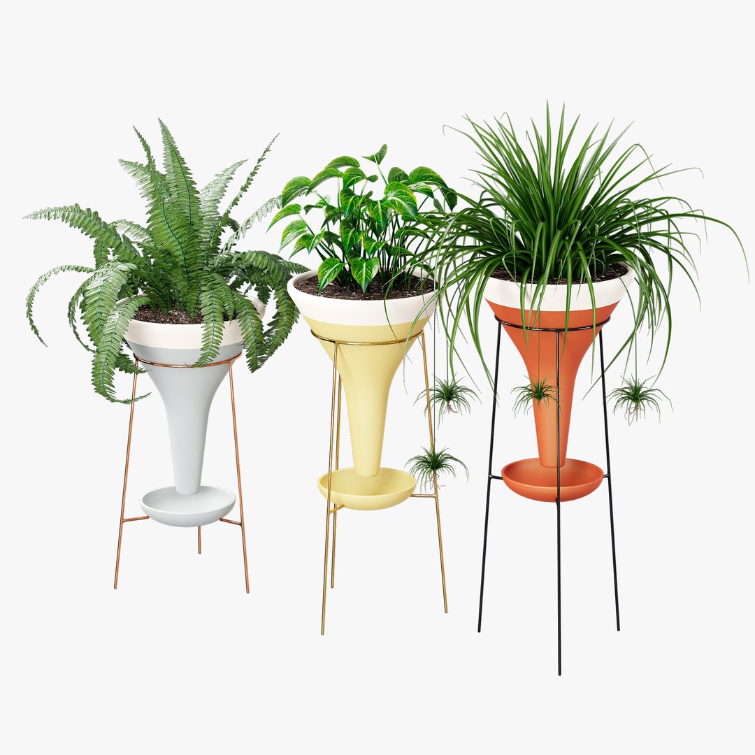 colorblock pot holistic 3D https://p.turbosquid.com/ts-thumb/8D/qCcQpr/MN/332dtree_14/jpg/1614331748/1920x1080/fit_q87/09f88c9991c5dfa1765a9d5873b8682d41ffe433/332dtree_14.jpg