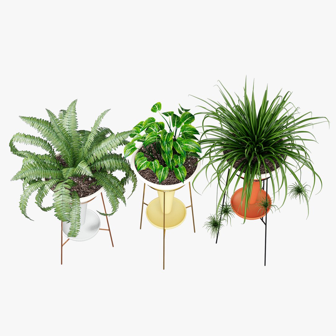 colorblock pot holistic 3D https://p.turbosquid.com/ts-thumb/8D/qCcQpr/Qk/332dtree_12/jpg/1614331749/1920x1080/fit_q87/06c81eb021365ee56ec5e66a89f9145580790874/332dtree_12.jpg