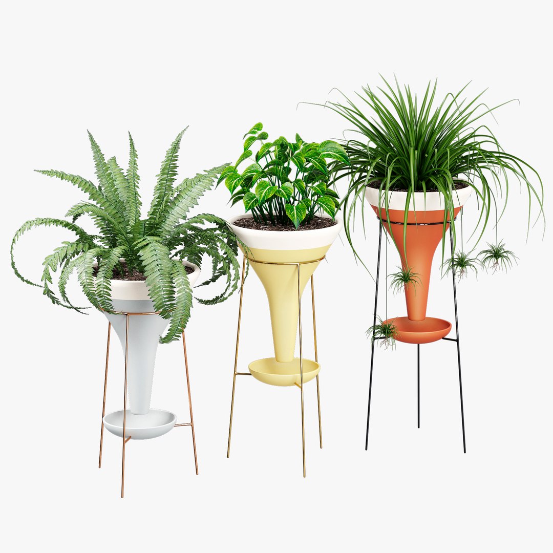 colorblock pot holistic 3D https://p.turbosquid.com/ts-thumb/8D/qCcQpr/b3/332dtree_13/jpg/1614331747/1920x1080/fit_q87/77b8df178b0195f063e660b90105d5cf4b00f734/332dtree_13.jpg