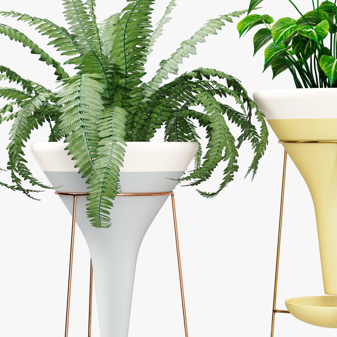 colorblock pot holistic 3D https://p.turbosquid.com/ts-thumb/8D/qCcQpr/uh/332dtree_15/jpg/1614331750/1920x1080/fit_q87/9a45286a4a6ab9423119a1d868802f003e4c1754/332dtree_15.jpg