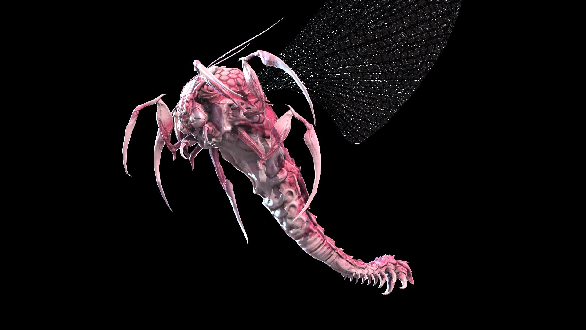 3D Flying Bug 10 - TurboSquid 1721511