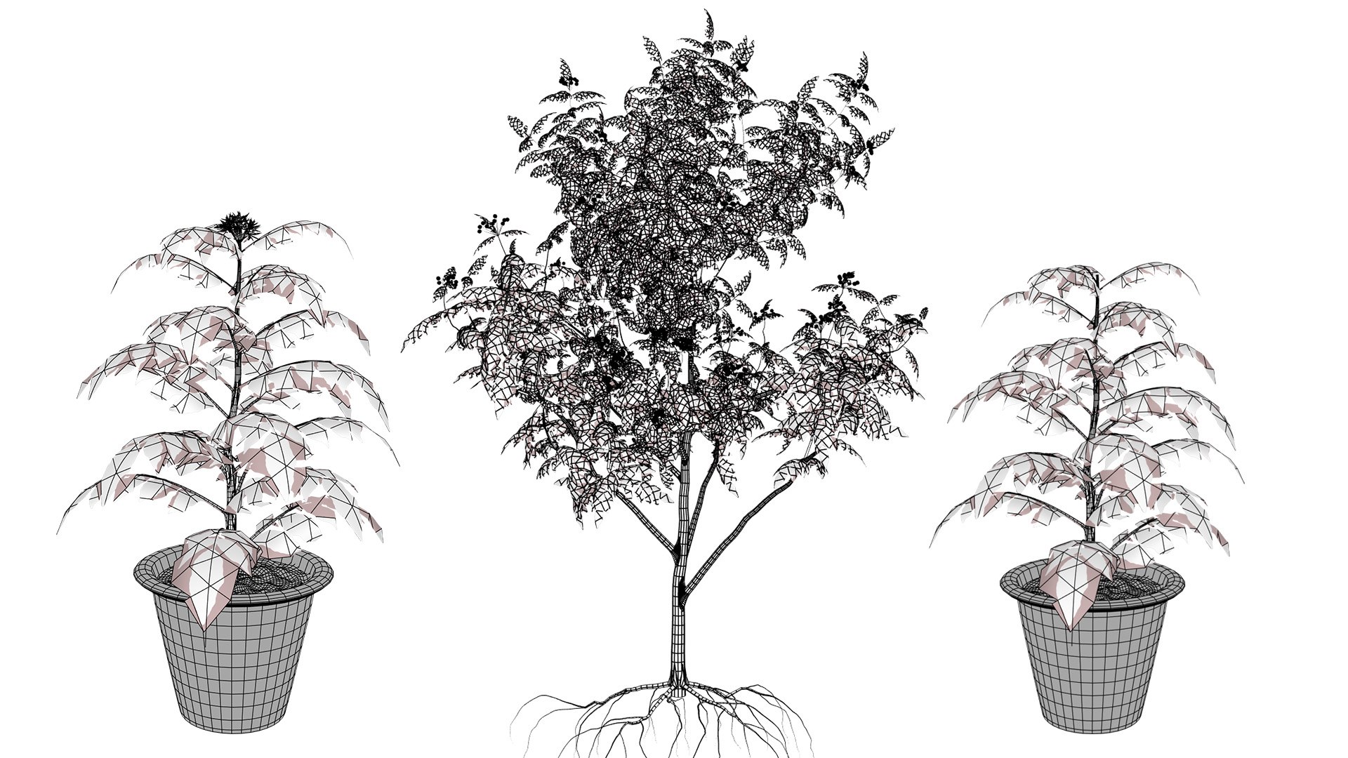 Aromatic Curry Leaf Plant 3D model https://p.turbosquid.com/ts-thumb/8E/NJMVct/F2/wirel/jpg/1761336825/1920x1080/fit_q87/395c5bbfed58e157e185eea50f801499a50f5063/wirel.jpg