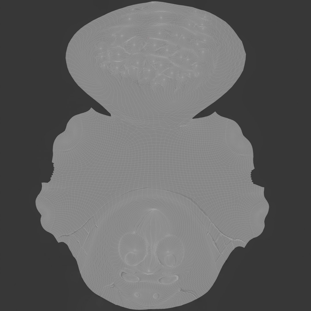 3D High-Quality Realistic Cute Cartoon Horse https://p.turbosquid.com/ts-thumb/8E/RPYkTh/LE/uv6/jpg/1756569065/1920x1080/fit_q87/dfe55420171ec9db0805e6fafca2461f8b4f440c/uv6.jpg