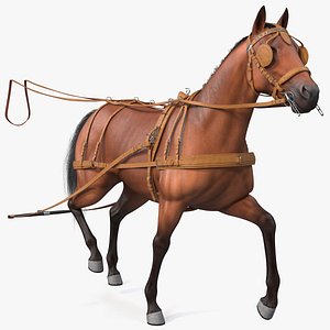 horse drawn leather single 3D model