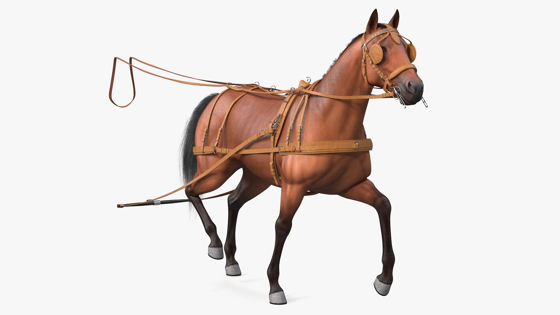 Horse Drawn Leather Single Driving Harness Walking Pose Fur 3D model preview