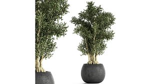 3D flower pot tree