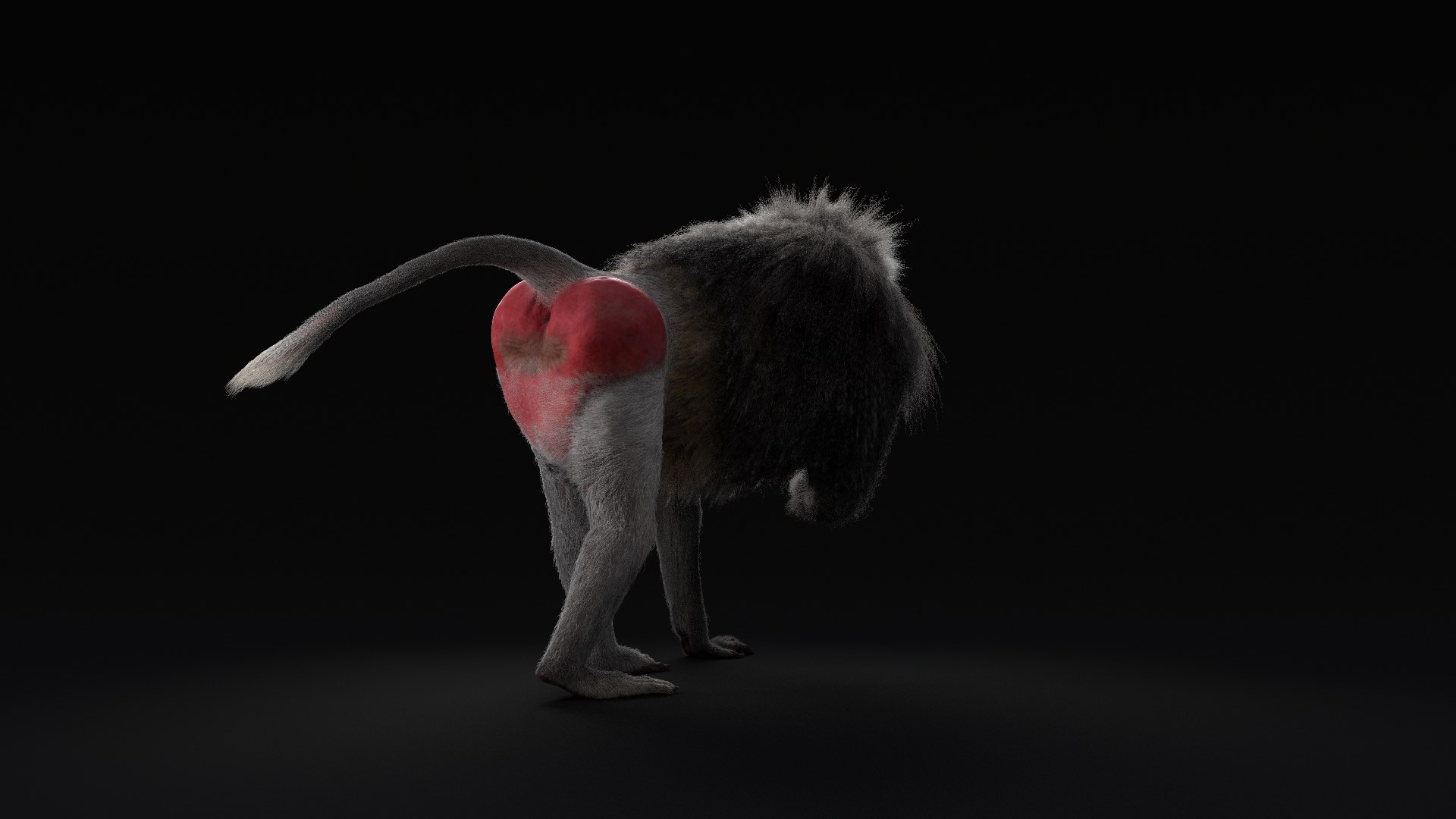 3D realistic rigged baboon animation model https://p.turbosquid.com/ts-thumb/8E/t7gHvz/GGILSoMF/0010/png/1581785791/1920x1080/fit_q87/74a1bc89dd8655a8ab46396350fe300efa9ad5d5/0010.jpg