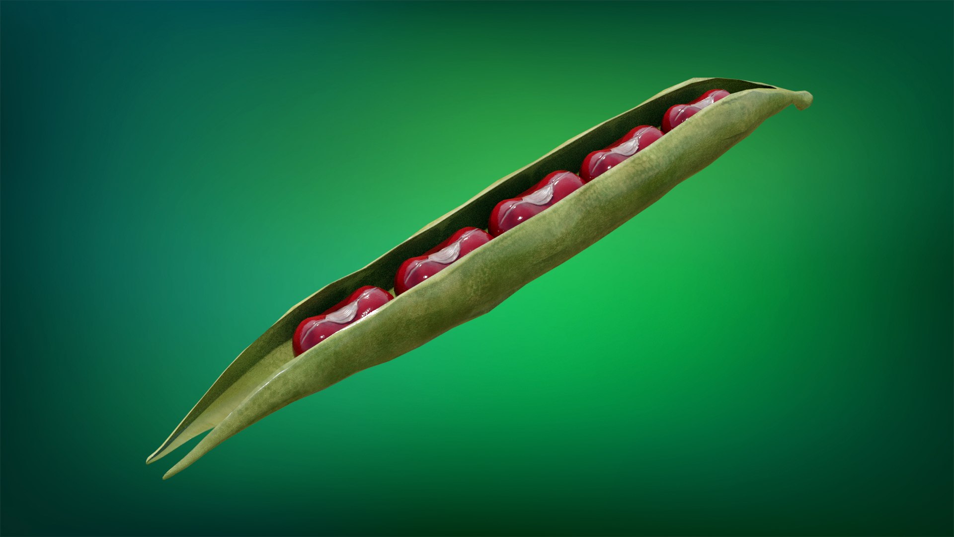 3D Beans Model - TurboSquid 1927231