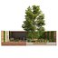 Exterior Garden yard scene