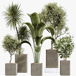 3D model AV Indoor Plants Set 430 Eucalyptus Olive Banana Yucca Palm