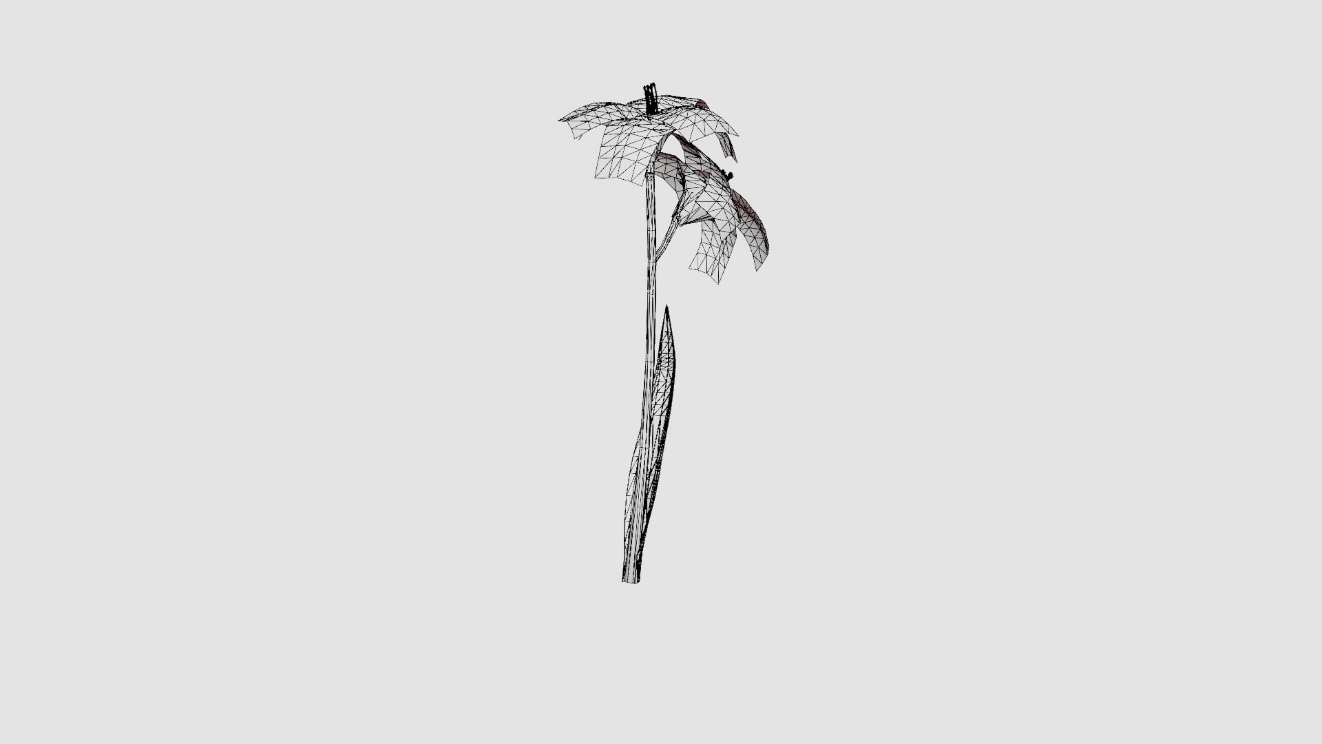 Hemerocallis Bogeyman Daylily 3D model https://p.turbosquid.com/ts-thumb/8F/UheJOn/fs/preview_6/jpg/1719813990/1920x1080/fit_q87/badc56ce240ec5dce3900dcc0e8ec31867a3c111/preview_6.jpg