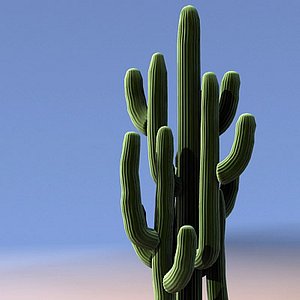 3d model saguaro cactus