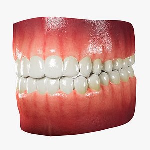 Realistic Human Mouth Teeth Tongue 3D model