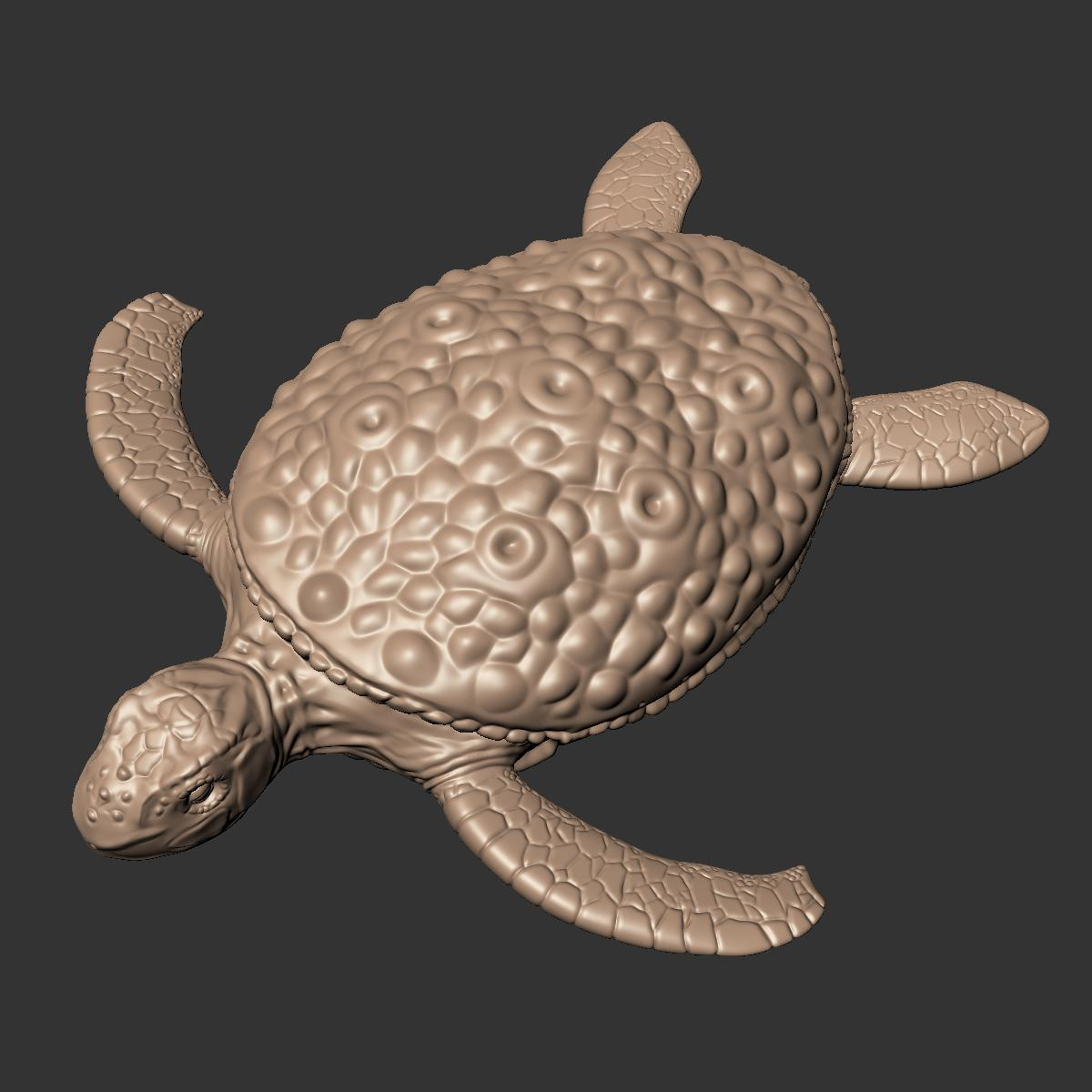 3d fantasy turtle model