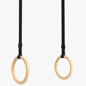 Gymnastics rings