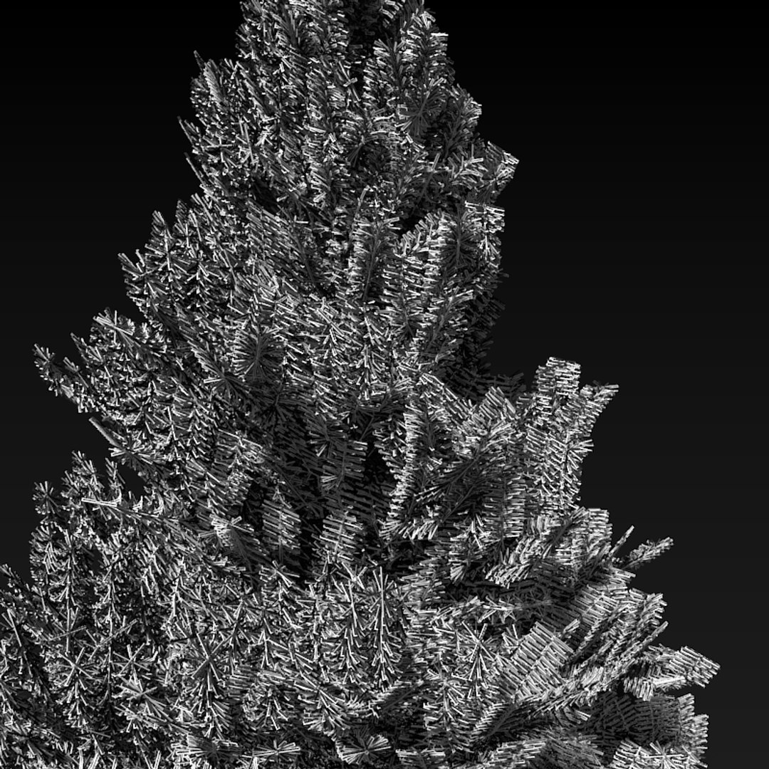 3d Pine Tree Model