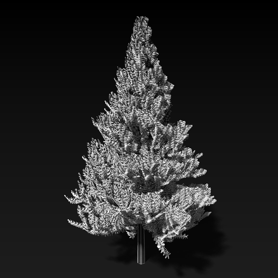 3d Pine Tree Model
